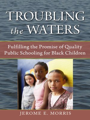 cover image of Troubling the Waters